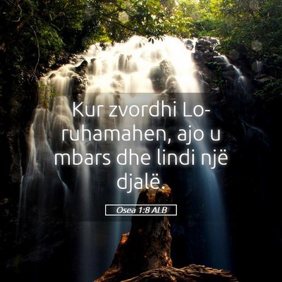 Picture 05 - Osea 1:8 ALB - Kur zvordhi Lo-ruhamahen, ajo u mbars dhe lindi - Bible Verse Picture