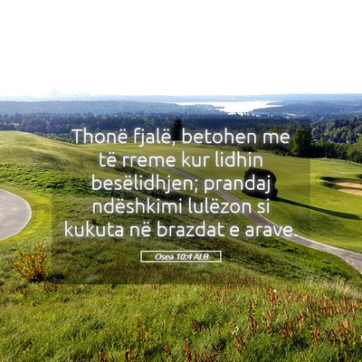 Picture 05 - Osea 10:4 ALB - Thonë fjalë, betohen me të rreme kur lidhin - Bible Verse Picture