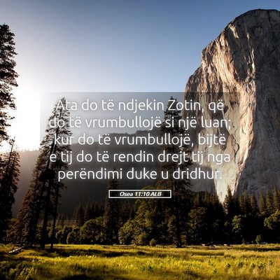 Picture 05 - Osea 11:10 ALB - Ata do të ndjekin Zotin, që do të vrumbullojë - Bible Verse Picture