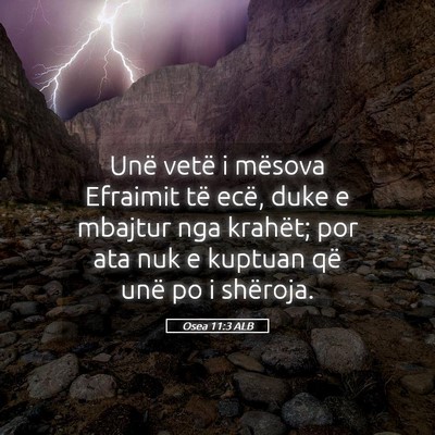 Picture 05 - Osea 11:3 ALB - Unë vetë i mësova Efraimit të ecë, duke e - Bible Verse Picture