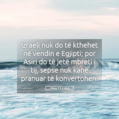 Picture 05 - Osea 11:5 ALB - Izraeli nuk do të kthehet në vendin e Egjipti; - Bible Verse Picture