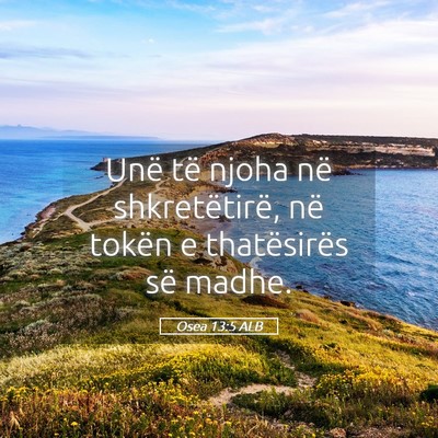 Picture 05 - Osea 13:5 ALB - Unë të njoha në shkretëtirë, në tokën e - Bible Verse Picture