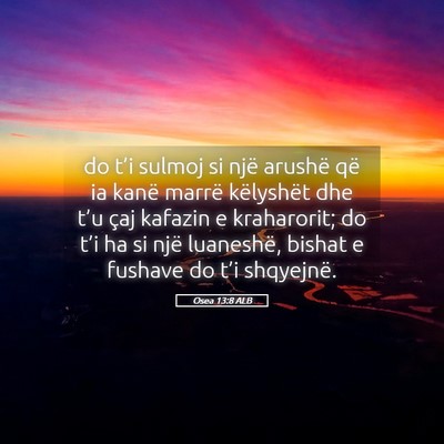 Picture 05 - Osea 13:8 ALB - do t’i sulmoj si një arushë që ia kanë - Bible Verse Picture