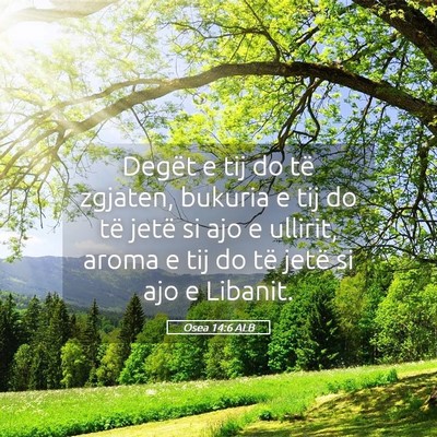 Picture 05 - Osea 14:6 ALB - Degët e tij do të zgjaten, bukuria e tij do të - Bible Verse Picture