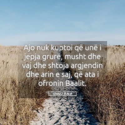 Picture 05 - Osea 2:8 ALB - Ajo nuk kuptoi që unë i jepja grurë, musht dhe - Bible Verse Picture