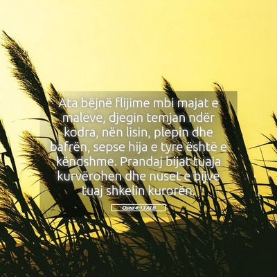Picture 05 - Osea 4:13 ALB - Ata bëjnë flijime mbi majat e maleve, djegin - Bible Verse Picture