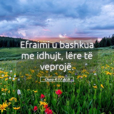 Picture 05 - Osea 4:17 ALB - Efraimi u bashkua me idhujt, lëre të - Bible Verse Picture