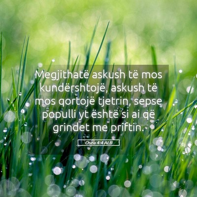 Picture 05 - Osea 4:4 ALB - Megjithatë askush të mos kundërshtojë, askush - Bible Verse Picture