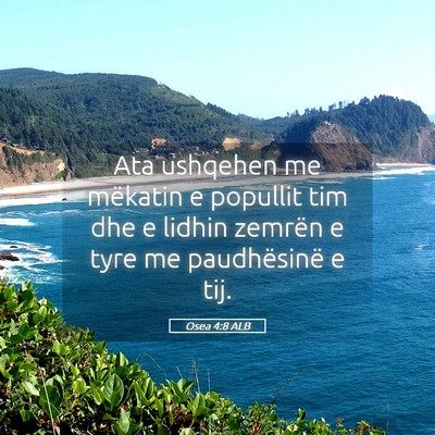 Picture 05 - Osea 4:8 ALB - Ata ushqehen me mëkatin e popullit tim dhe e - Bible Verse Picture