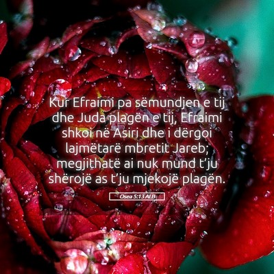 Picture 05 - Osea 5:13 ALB - Kur Efraimi pa sëmundjen e tij dhe Juda plagën - Bible Verse Picture