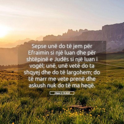 Picture 05 - Osea 5:14 ALB - Sepse unë do të jem për Efraimin si një luan - Bible Verse Picture