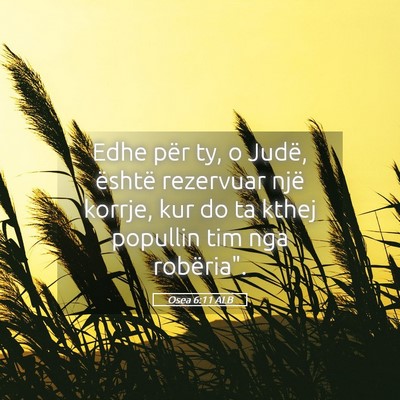 Picture 05 - Osea 6:11 ALB - Edhe për ty, o Judë, është rezervuar një - Bible Verse Picture