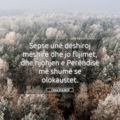 Picture 05 - Osea 6:6 ALB - Sepse unë dëshiroj mëshirë dhe jo flijimet, - Bible Verse Picture