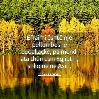 Picture 05 - Osea 7:11 ALB - Efraimi është një pëllumbeshë budallaçkë, - Bible Verse Picture