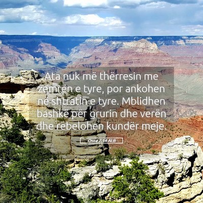 Picture 05 - Osea 7:14 ALB - Ata nuk më thërresin me zemrën e tyre, por - Bible Verse Picture