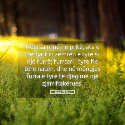 Picture 05 - Osea 7:6 ALB - Ndërsa rrinë në pritë, ata e përgatitin - Bible Verse Picture