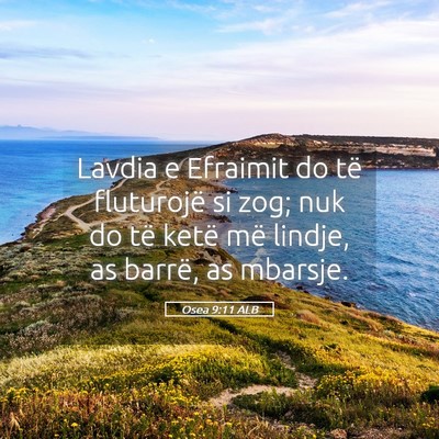 Picture 05 - Osea 9:11 ALB - Lavdia e Efraimit do të fluturojë si zog; nuk - Bible Verse Picture