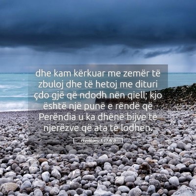 Picture 05 - Predikuesi 1:13 ALB - dhe kam kërkuar me zemër të zbuloj dhe të - Bible Verse Picture
