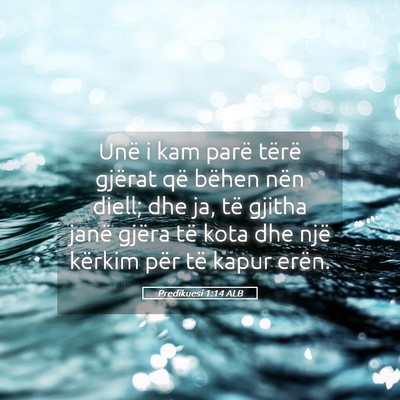 Picture 05 - Predikuesi 1:14 ALB - Unë i kam parë tërë gjërat që bëhen nën - Bible Verse Picture