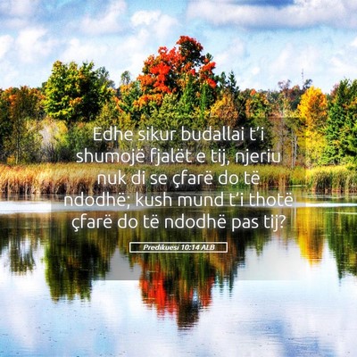 Picture 05 - Predikuesi 10:14 ALB - Edhe sikur budallai t’i shumojë fjalët e tij, - Bible Verse Picture