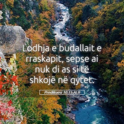 Picture 05 - Predikuesi 10:15 ALB - Lodhja e budallait e rraskapit, sepse ai nuk di - Bible Verse Picture
