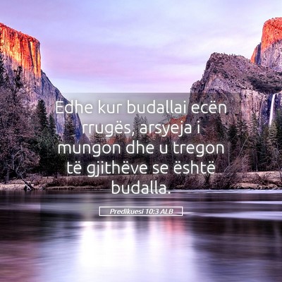 Picture 05 - Predikuesi 10:3 ALB - Edhe kur budallai ecën rrugës, arsyeja i mungon - Bible Verse Picture