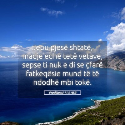 Picture 05 - Predikuesi 11:2 ALB - Jepu pjesë shtatë, madje edhe tetë vetave, - Bible Verse Picture