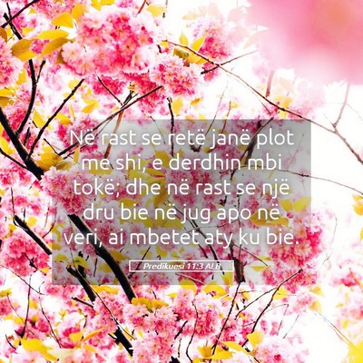 Picture 05 - Predikuesi 11:3 ALB - Në rast se retë janë plot me shi, e derdhin - Bible Verse Picture