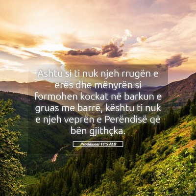 Picture 05 - Predikuesi 11:5 ALB - Ashtu si ti nuk njeh rrugën e erës dhe - Bible Verse Picture