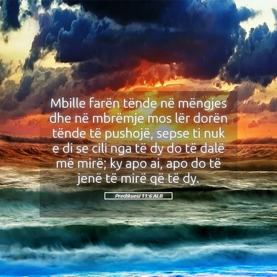 Picture 05 - Predikuesi 11:6 ALB - Mbille farën tënde në mëngjes dhe në - Bible Verse Picture