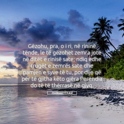 Picture 05 - Predikuesi 11:9 ALB - Gëzohu, pra, o i ri, në rininë tënde, le të - Bible Verse Picture