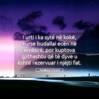 Picture 05 - Predikuesi 2:14 ALB - I urti i ka sytë në kokë, kurse budallai ecën - Bible Verse Picture