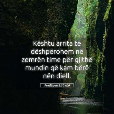 Picture 05 - Predikuesi 2:20 ALB - Kështu arrita të dëshpërohem në zemrën time - Bible Verse Picture
