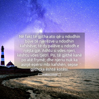 Picture 05 - Predikuesi 3:19 ALB - Në fakt të gjitha ato që u ndodhin bijve të - Bible Verse Picture