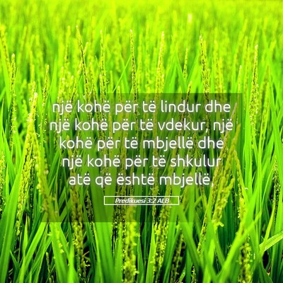 Picture 05 - Predikuesi 3:2 ALB - një kohë për të lindur dhe një kohë për - Bible Verse Picture