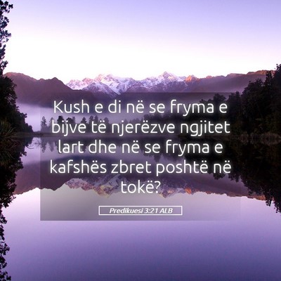 Picture 05 - Predikuesi 3:21 ALB - Kush e di në se fryma e bijve të njerëzve - Bible Verse Picture