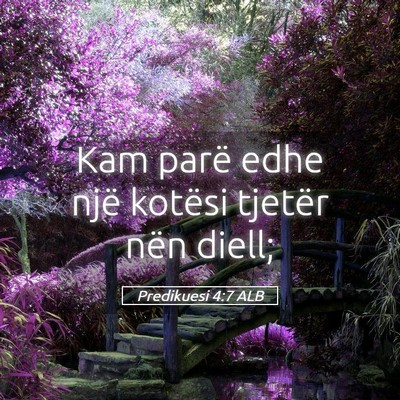 Picture 05 - Predikuesi 4:7 ALB - Kam parë edhe një kotësi tjetër nën - Bible Verse Picture