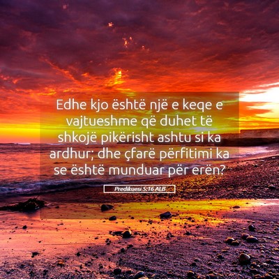 Picture 05 - Predikuesi 5:16 ALB - Edhe kjo është një e keqe e vajtueshme që - Bible Verse Picture