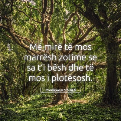 Picture 05 - Predikuesi 5:5 ALB - Më mirë të mos marrësh zotime se sa t’i - Bible Verse Picture