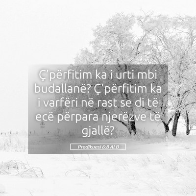 Picture 05 - Predikuesi 6:8 ALB - Ç’përfitim ka i urti mbi budallanë? - Bible Verse Picture