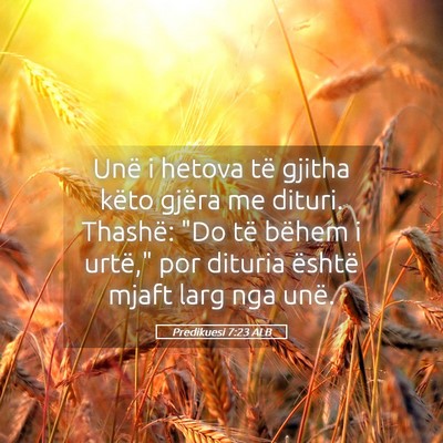 Picture 05 - Predikuesi 7:23 ALB - Unë i hetova të gjitha këto gjëra me dituri. - Bible Verse Picture