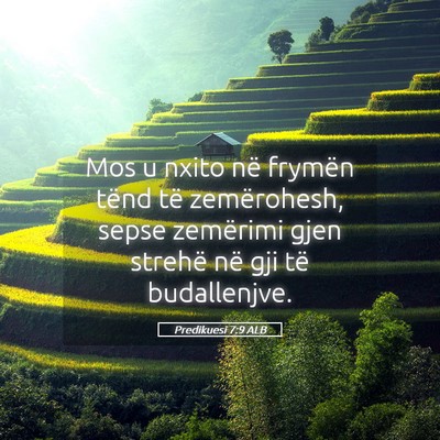 Picture 05 - Predikuesi 7:9 ALB - Mos u nxito në frymën tënd të zemërohesh, - Bible Verse Picture