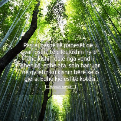 Picture 05 - Predikuesi 8:10 ALB - Pastaj pashë të pabesët që u varrosën, të - Bible Verse Picture