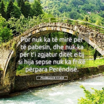 Picture 05 - Predikuesi 8:13 ALB - Por nuk ka të mirë për të pabesin, dhe nuk ka - Bible Verse Picture