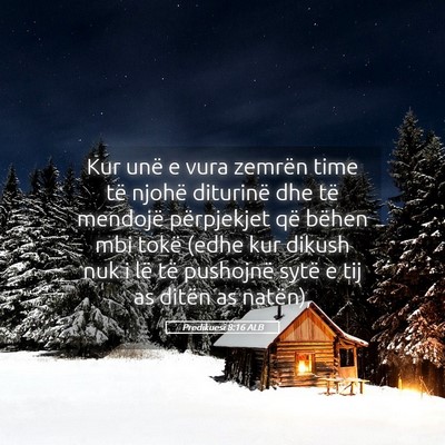Picture 05 - Predikuesi 8:16 ALB - Kur unë e vura zemrën time të njohë diturinë - Bible Verse Picture