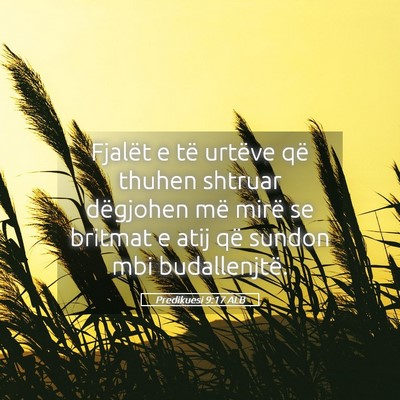Picture 05 - Predikuesi 9:17 ALB - Fjalët e të urtëve që thuhen shtruar - Bible Verse Picture