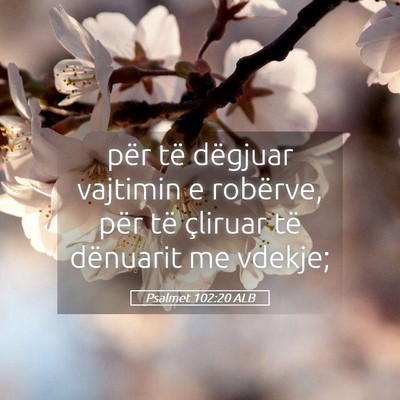 Picture 05 - Psalmet 102:20 ALB - për të dëgjuar vajtimin e robërve, për të - Bible Verse Picture