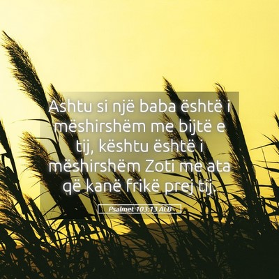 Picture 05 - Psalmet 103:13 ALB - Ashtu si një baba është i mëshirshëm me - Bible Verse Picture