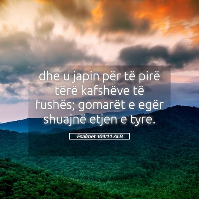 Picture 05 - Psalmet 104:11 ALB - dhe u japin për të pirë tërë kafshëve të - Bible Verse Picture