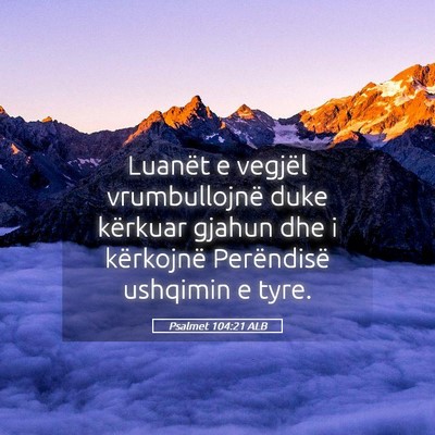 Picture 05 - Psalmet 104:21 ALB - Luanët e vegjël vrumbullojnë duke kërkuar - Bible Verse Picture